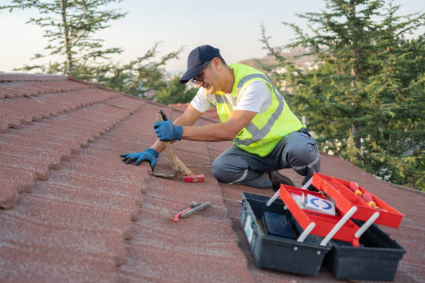 Best Flat Roof Repair Services  in Roslyn, PA